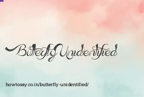 Butterfly Unidentified