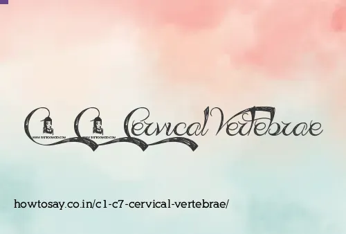 C1 C7 Cervical Vertebrae