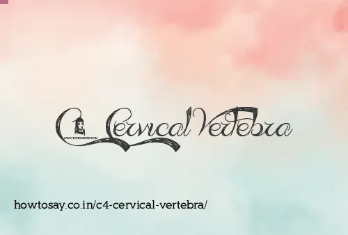 C4 Cervical Vertebra