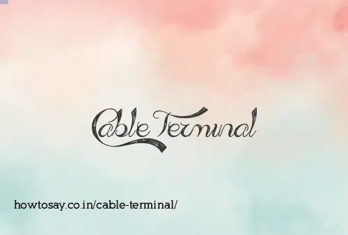 Cable Terminal