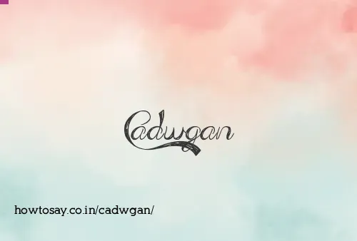 Cadwgan