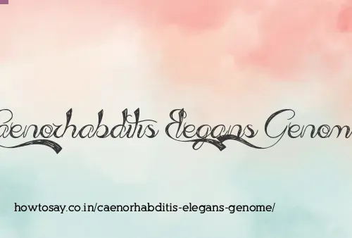 Caenorhabditis Elegans Genome