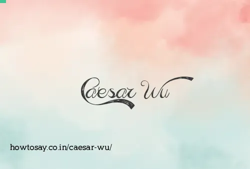 Caesar Wu