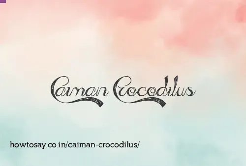Caiman Crocodilus