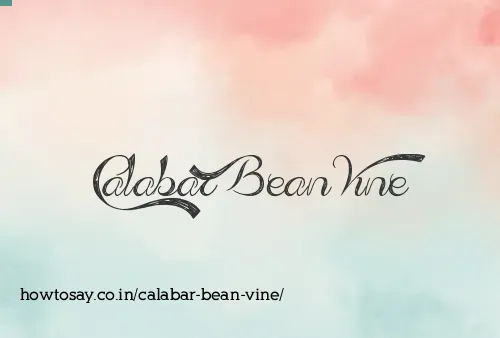 Calabar Bean Vine