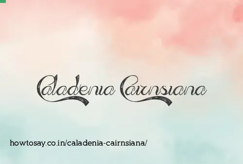 Caladenia Cairnsiana