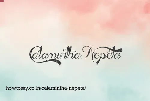 Calamintha Nepeta
