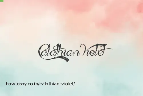 Calathian Violet