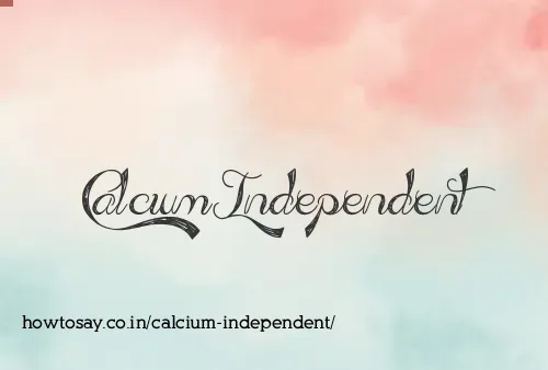 Calcium Independent