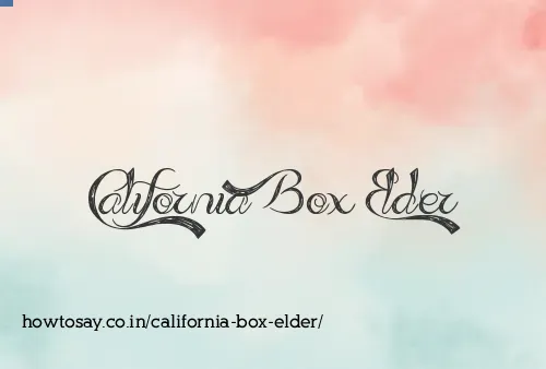 California Box Elder
