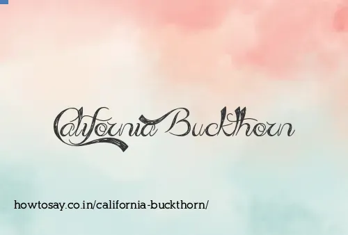 California Buckthorn