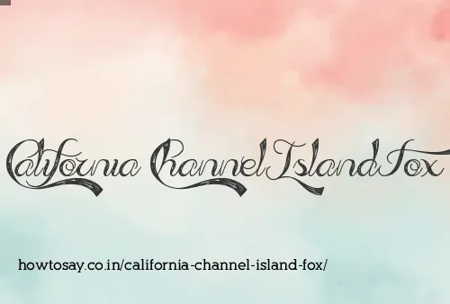 California Channel Island Fox