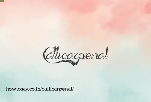 Callicarpenal