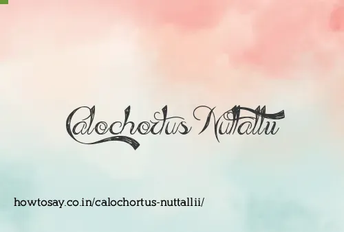 Calochortus Nuttallii