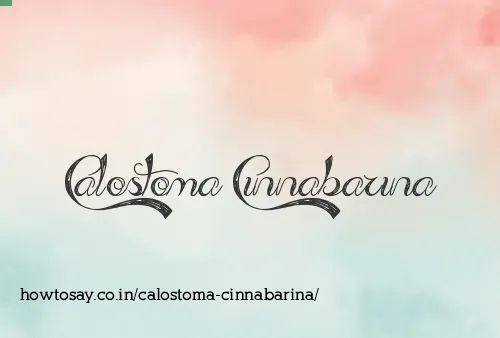 Calostoma Cinnabarina