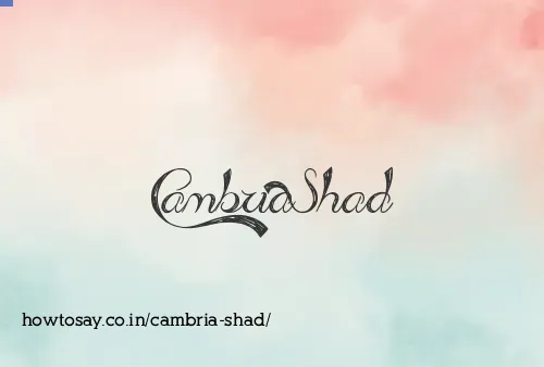 Cambria Shad