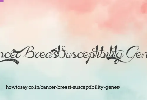 Cancer Breast Susceptibility Genes