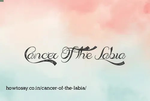 Cancer Of The Labia