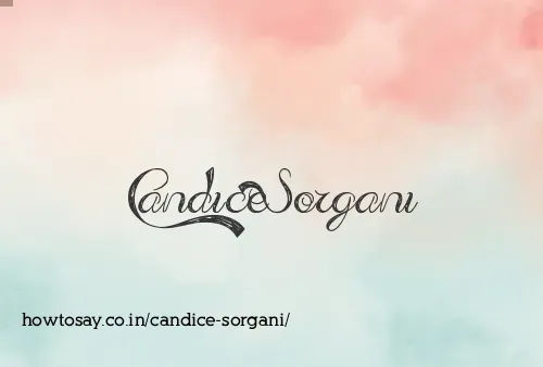 Candice Sorgani