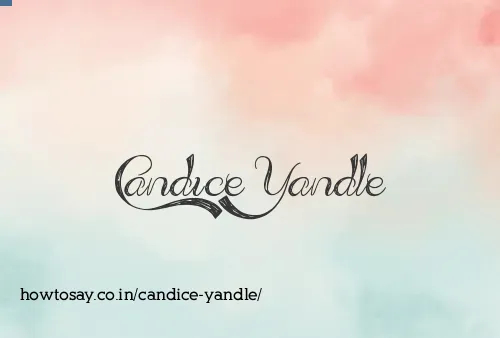 Candice Yandle