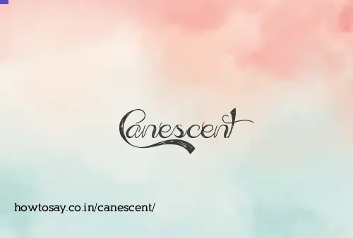 Canescent
