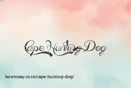 Cape Hunting Dog