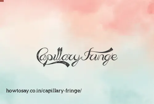Capillary Fringe