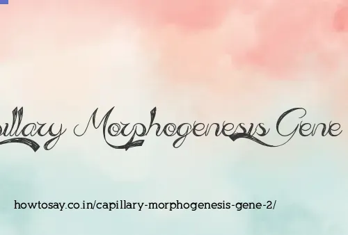 Capillary Morphogenesis Gene 2