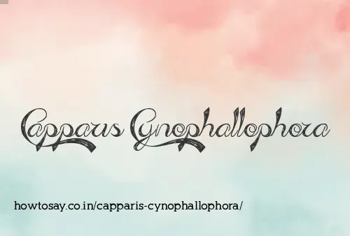 Capparis Cynophallophora