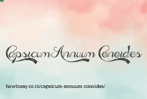 Capsicum Annuum Conoides