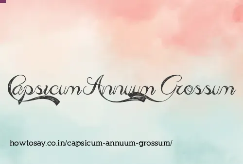 Capsicum Annuum Grossum