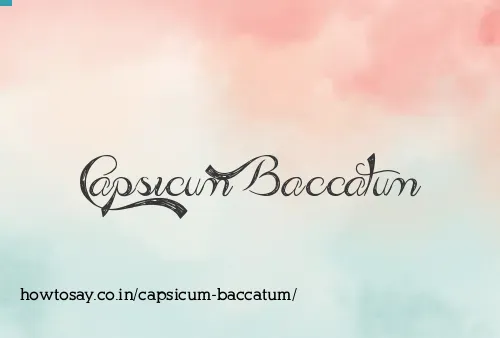 Capsicum Baccatum