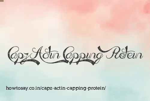 Capz Actin Capping Protein