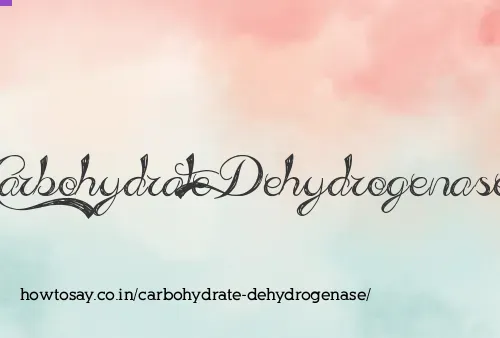 Carbohydrate Dehydrogenase