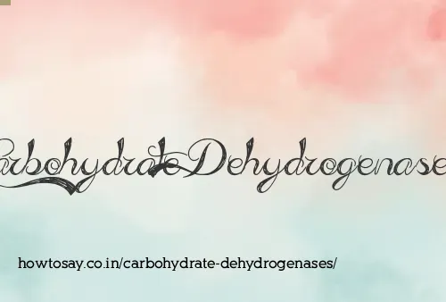 Carbohydrate Dehydrogenases