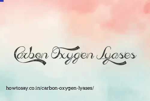 Carbon Oxygen Lyases
