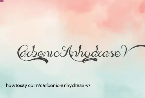 Carbonic Anhydrase V