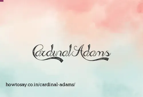 Cardinal Adams