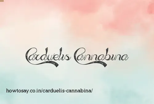 Carduelis Cannabina
