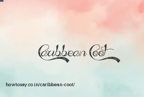 Caribbean Coot