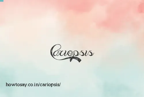 Cariopsis