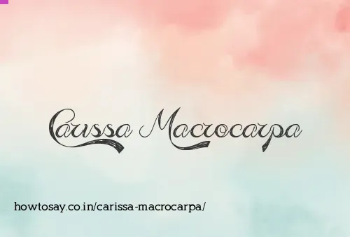Carissa Macrocarpa