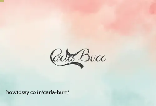 Carla Burr