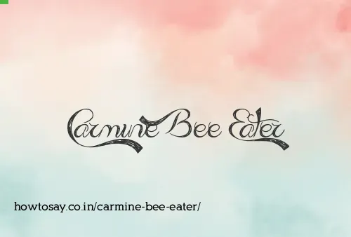 Carmine Bee Eater