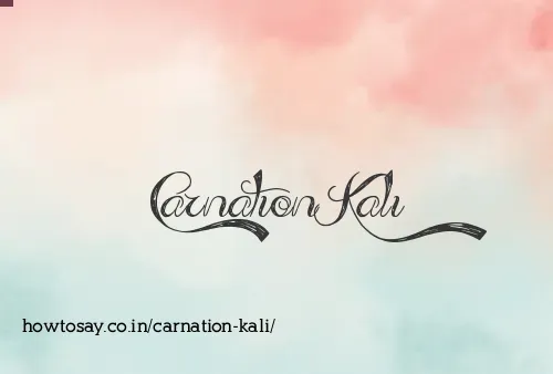 Carnation Kali