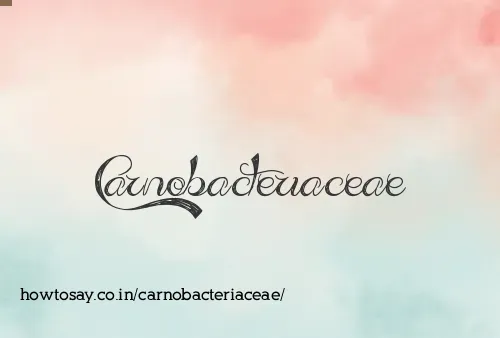 Carnobacteriaceae