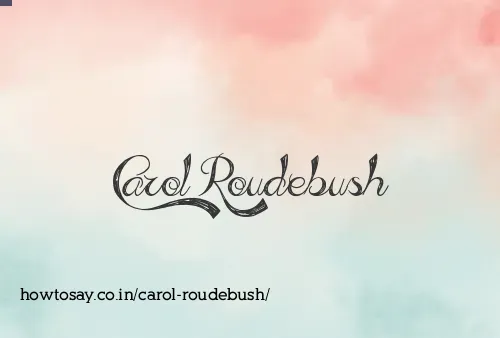 Carol Roudebush