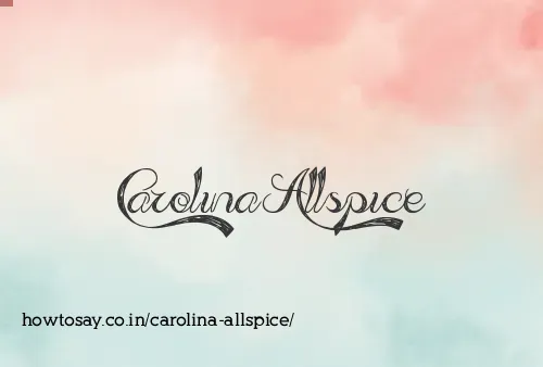 Carolina Allspice