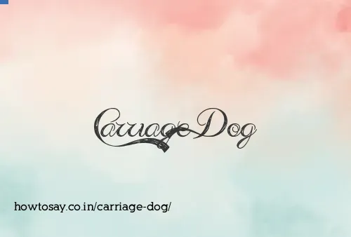 Carriage Dog