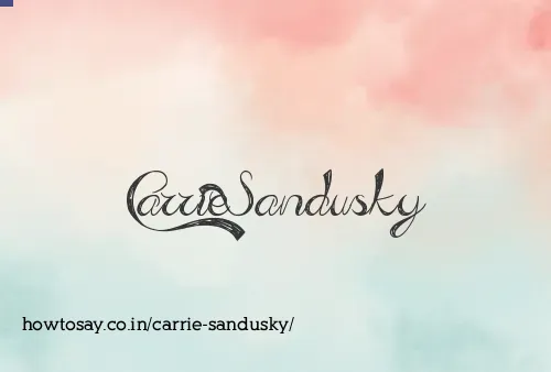 Carrie Sandusky
